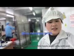 의료 장비 및 산업용 용품에 맞춘 PET 막 스위치